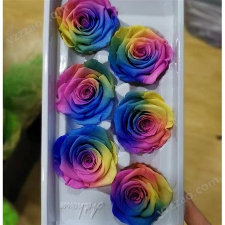 永生彩玫系列 一盒6-8朵 彩色 染色 颜色艳丽 情人节手工鲜花