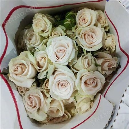 肯尼亚玫瑰销售 开业鲜花花篮制作 玫瑰花束 红玫 颜色多样